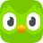 Duolingo Brand Guidelines